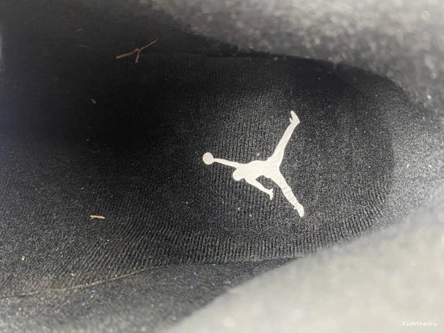 Kick Theory Jordan 487471-407 Retro Laney 14 0707